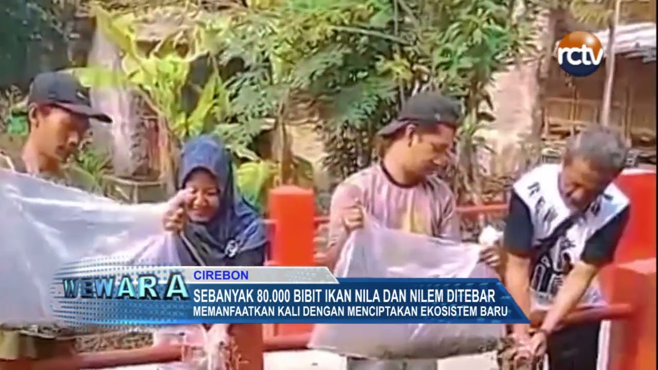 Sebanyak Bibit Ikan Nila Dan Nilem Ditebar